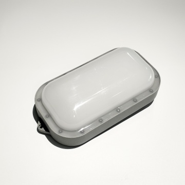 Front view of hood light showing the diffuser and surrounding frame
